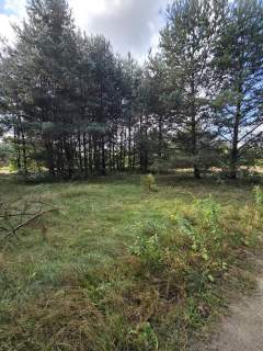 Działka budowlana na sprzedaż, 4000 m2, Ożarowice