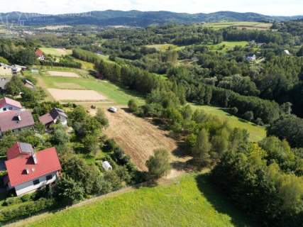 46 ARÓW W TUCHOWIE - BLISKO LASU, BLISKO MIASTA 