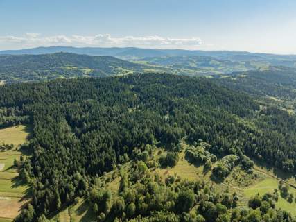 Działka leśna 20 700 m Kasina Wielka