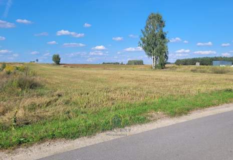 Działka budowlana las zalew