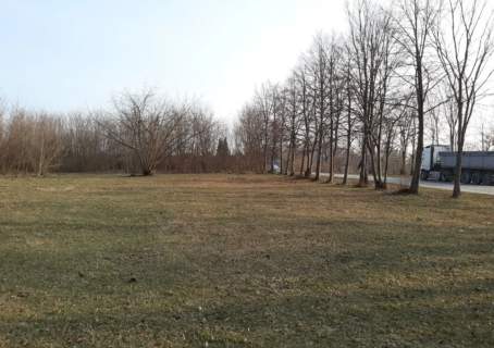 Szydłowiec zabudowa wielorodzinna i jednorodzinna