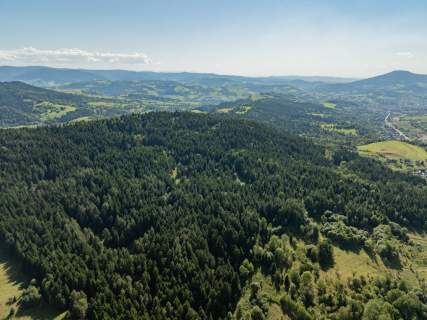 Działka leśna 20 700 m Kasina Wielka