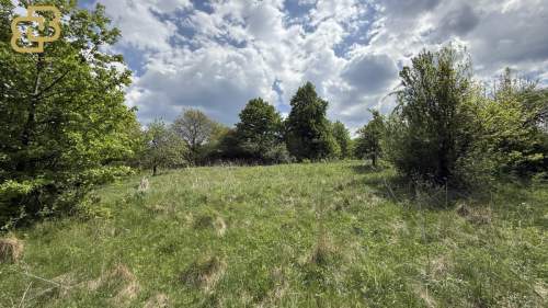 Działka 1,78 ha własna przestrzeń blisko natury