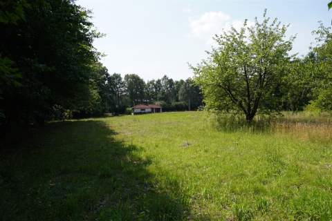 DZIAŁKA GRANICZĄCA Z PUSZCZĄ ZIELONKĄ