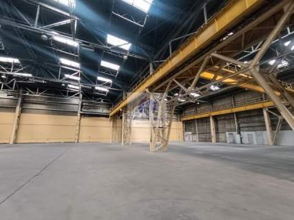 Bielany magazyn 3005m2 do wynajęcia