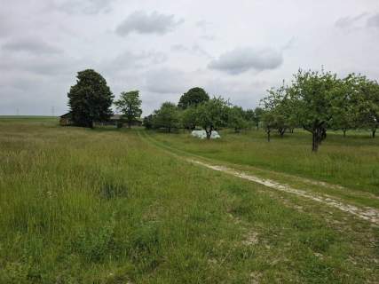 Działka budowlana na sprzedaż, 130000 m2, Mogilnica