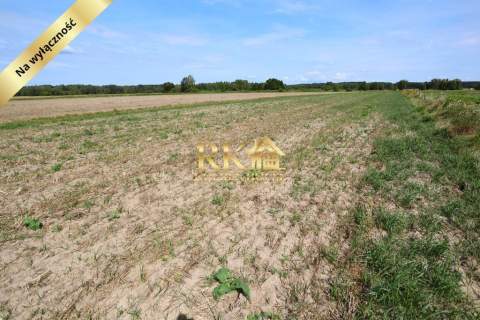 Działka rolna 0.43 ha Dobrzanów gm. Skórzec