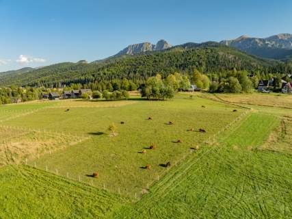 Działka rolna 3115 m Kościelisko
