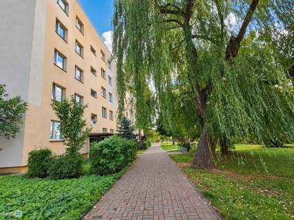 3 pokoje, Uroczysko, loggia, 6100 zl/m2