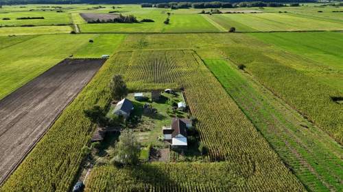 Dom 52m2 z dużą działką 3500m2 w otoczeniu natury