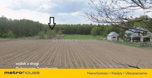 Urocza działka przy lesie Kol. Strzelce Dobroszyce