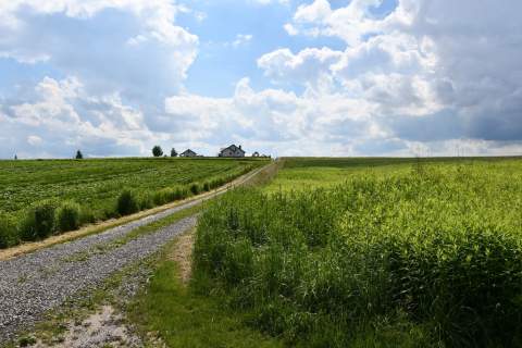 Działka inwestycyjna 81.7a w Krasne