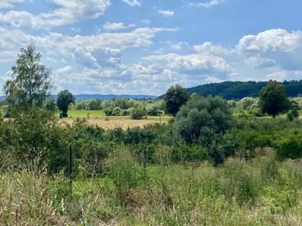 Janowice - 1,18 ha las i pastwiska 69 000 zł