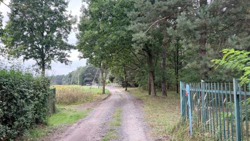 Pruszewiec, koło Tuczna - bajeczna działka w lesie