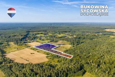 Działka leśna pow. 29.600 m , Bukowina Sycowska