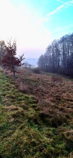 PIERWSZA LINIA BRZEGOWA Działka z widokiem na jezioro