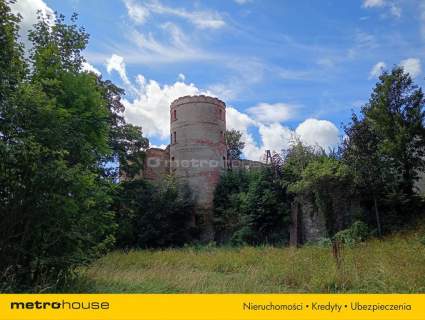 Ruiny Willi i Pałacu w Starej Kraśnicy 2,8 ha