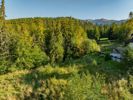 Działka Rolno-Leśna 2784 m Kościelisko Gronik