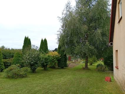 Działa 5000m2