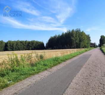 Sprzedam ziemię rolną 12,7428 ha w Januszewie