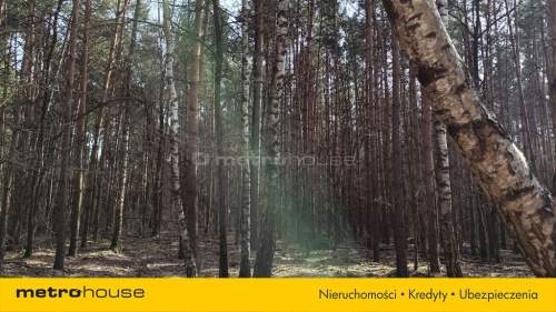Na sprzedaż działki leśne - Żmijewo Ponki