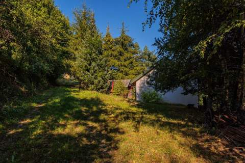 DREWNIANY DOM PO GRUNTOWNYM REMONCIE NA 1,35 HA -