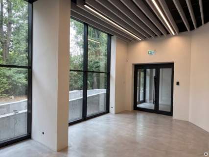 Lokal użytkowy do wynajęcia, 1646 m2, Rybnik