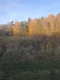 Działka budowlana z warunkami o pow. 1400m2, Dzierzbin