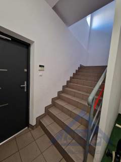 Do wynajęcia 478 m2 Bemowo Jelonki