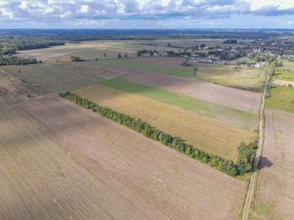 Działka rolna na sprzedaż, 5000 m2, Białogórzyno