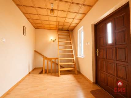 Siedlisko 0,6 ha, gm. Brańsk