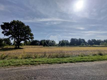 Działka z WZ Chodlewo Blisko S5 i PKP
