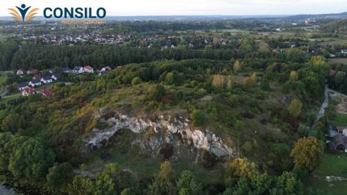 Piękna Okolica Wolnostojące Bez PCC 2% Działka 3ar