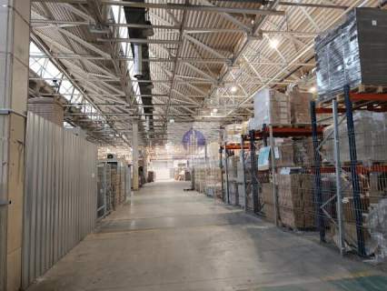 Praga Północ magazyn 300 m2 do wynajęcia