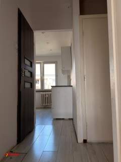 49,10 m 2 pokoje balkon osobna kuchnia dużo zieleni za oknem