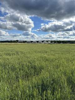 DZIAŁKA 30 AR WYSOKA GŁOGOWSKA 15 MIN OD RZESZOWA