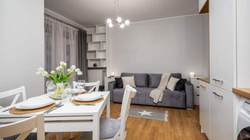Apartament studio, Krzemieniecka 8/44