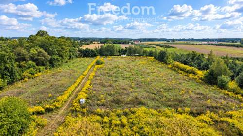 Działka 3000m2 z WZ - Piekary gm.Mszczonów