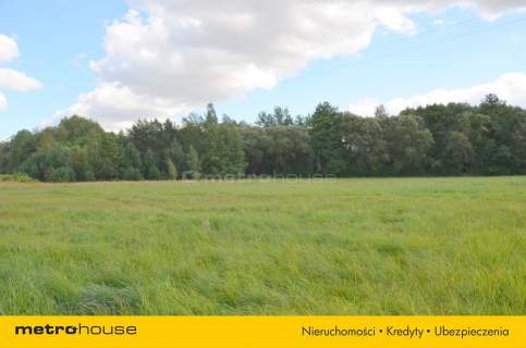 Działka siedliskowa na sprzedaż, 5400 m2, Dąbrówka