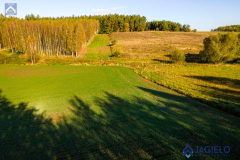 Działka rolna na sprzedaż, 4200 m2, Szczodrowo