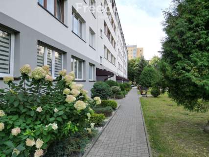 Bełchatów, Os. Wolność, 3 pokoje,