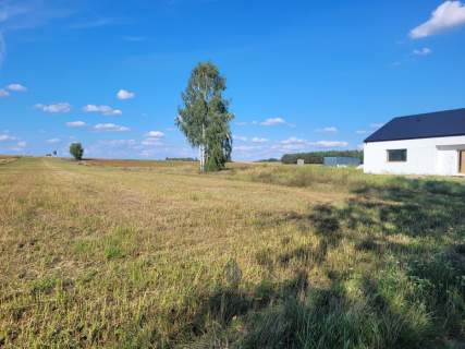 Działka budowlana las zalew
