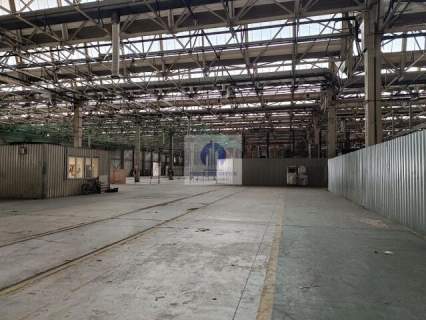 Praga Północ magazyn 170,74 m2 do wynajęcia
