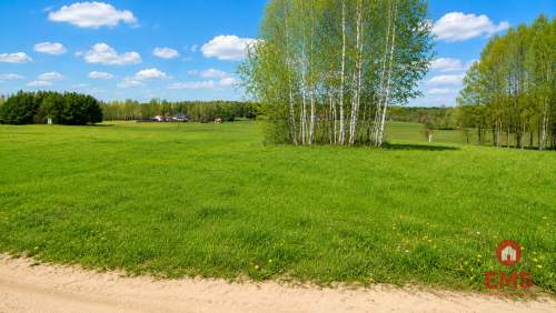 Działka budowlana 1000 m2, Tołcze