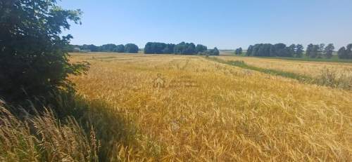 Działka przy trasie 714 Grodzsko Rzgów pow. łódzki wschodni