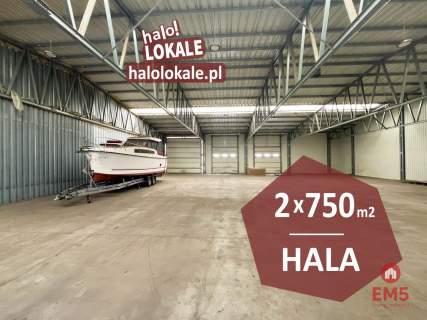 Hala, produkcja, magazyn