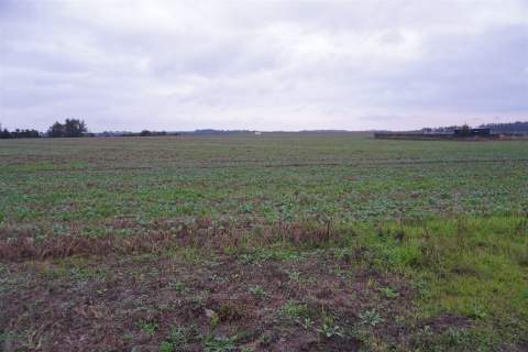 DZIAŁKA BUDOWLANA GORTATOWO