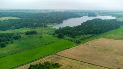 Działka rolna na sprzedaż, 5000 m2, Grabin