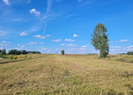 Działka budowlana las zalew
