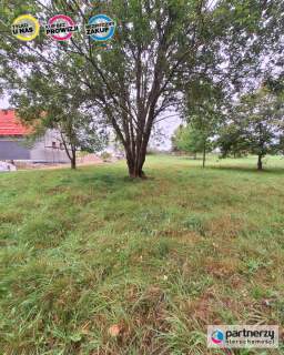 Działka budowlana 25km od Gdańska -Babidół